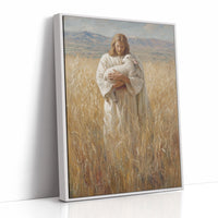 Gentle Light Through Winter Fields