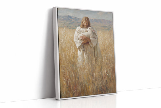 Gentle Light Through Winter Fields