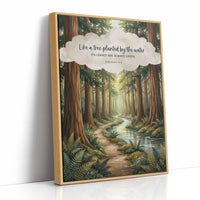 Like a Tree Planted by the Water: Redwood Forest Stream
