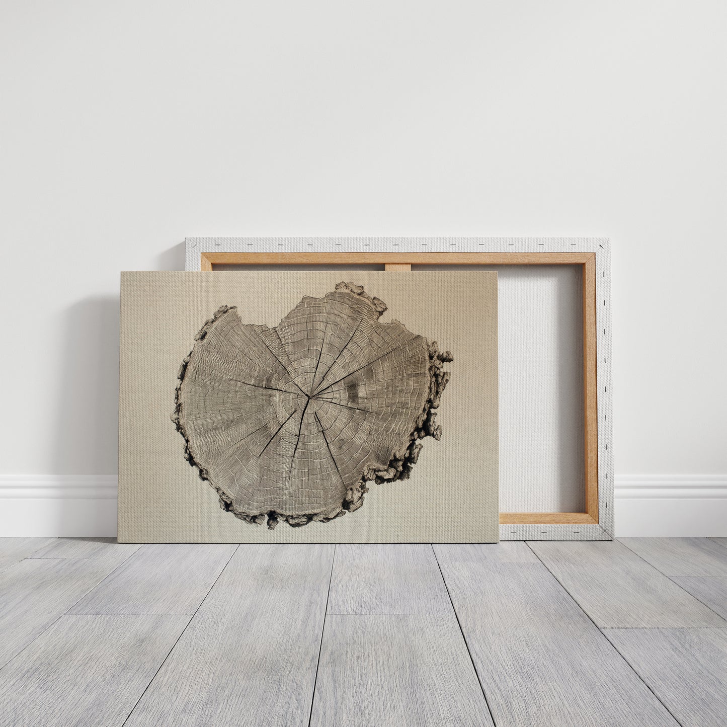 Timber Tales of Time