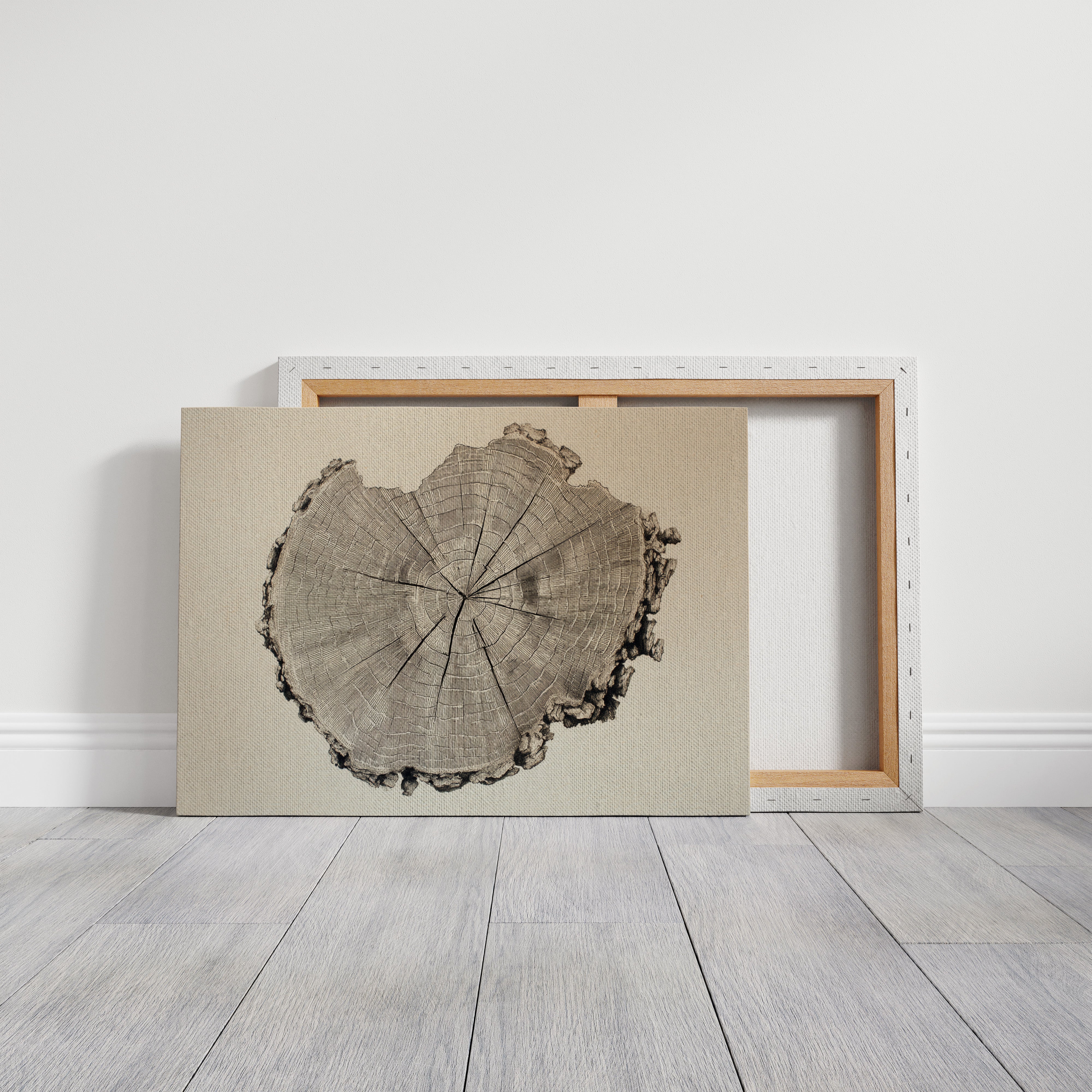 Timber Tales of Time