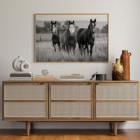 Three Mares Stand Among Prairie Grass