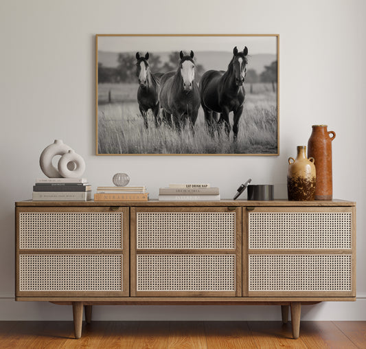 Three Mares Stand Among Prairie Grass