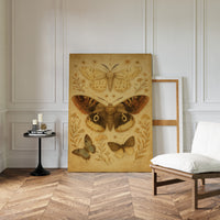 Vintage Moths and Meadow Wings