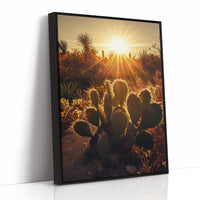 Desert Light Prickly Pear at Sunset