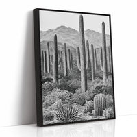 Saguaro Forest In Fine Line