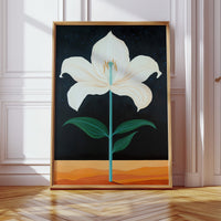 Midnight Lily Reaches For Stars