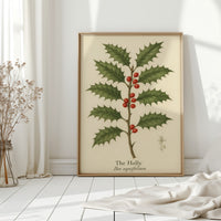 The Holly Botanical Art Print