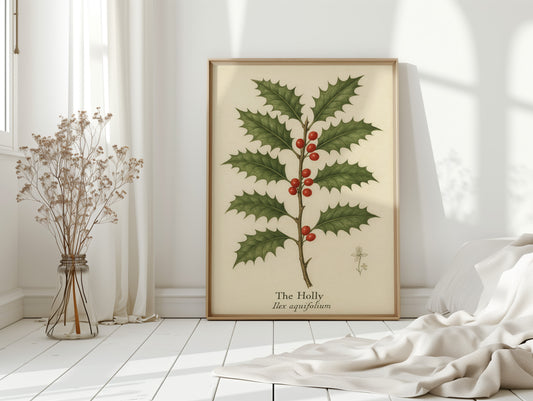 The Holly Botanical Art Print