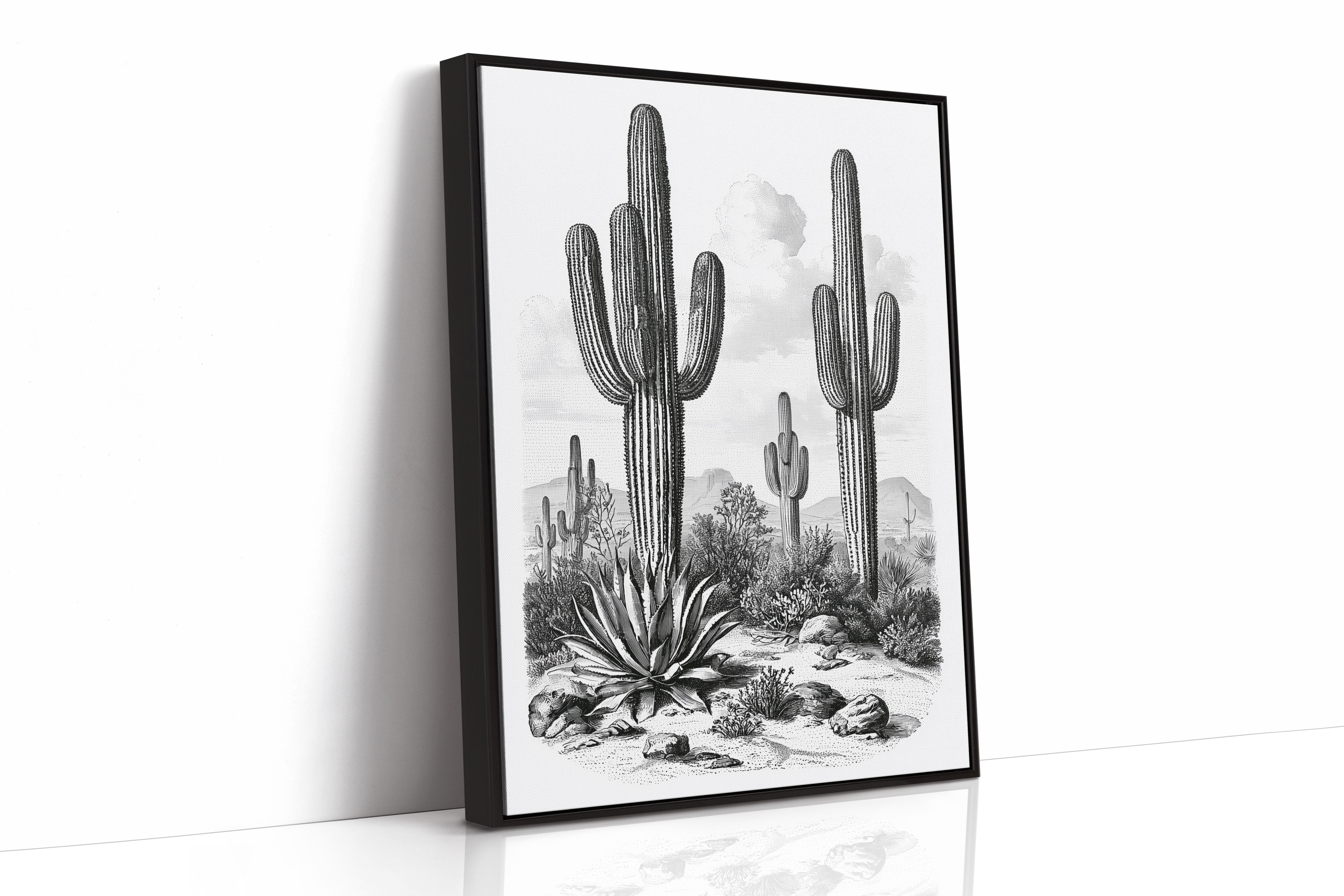 Desert Engraving With Agave