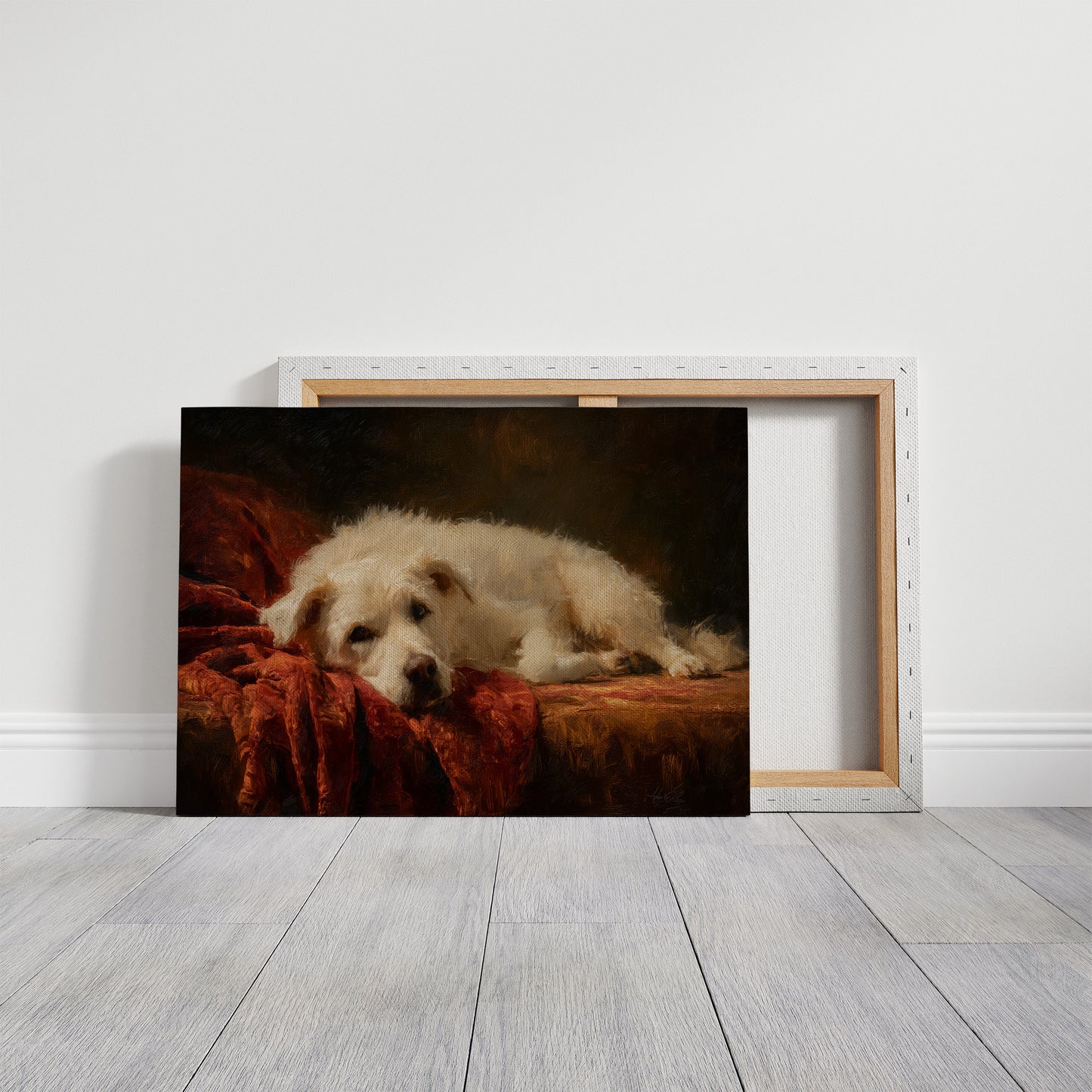 Loyal Companion Rests On Crimson Velvet