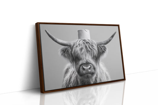 Highland Cow Wears Toilet Paper Crown