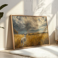 Storm Clouds Call A Dalmatian Home