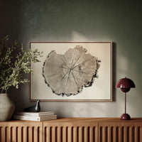 Timber Tales of Time