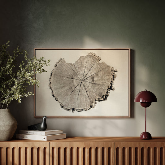 Timber Tales of Time