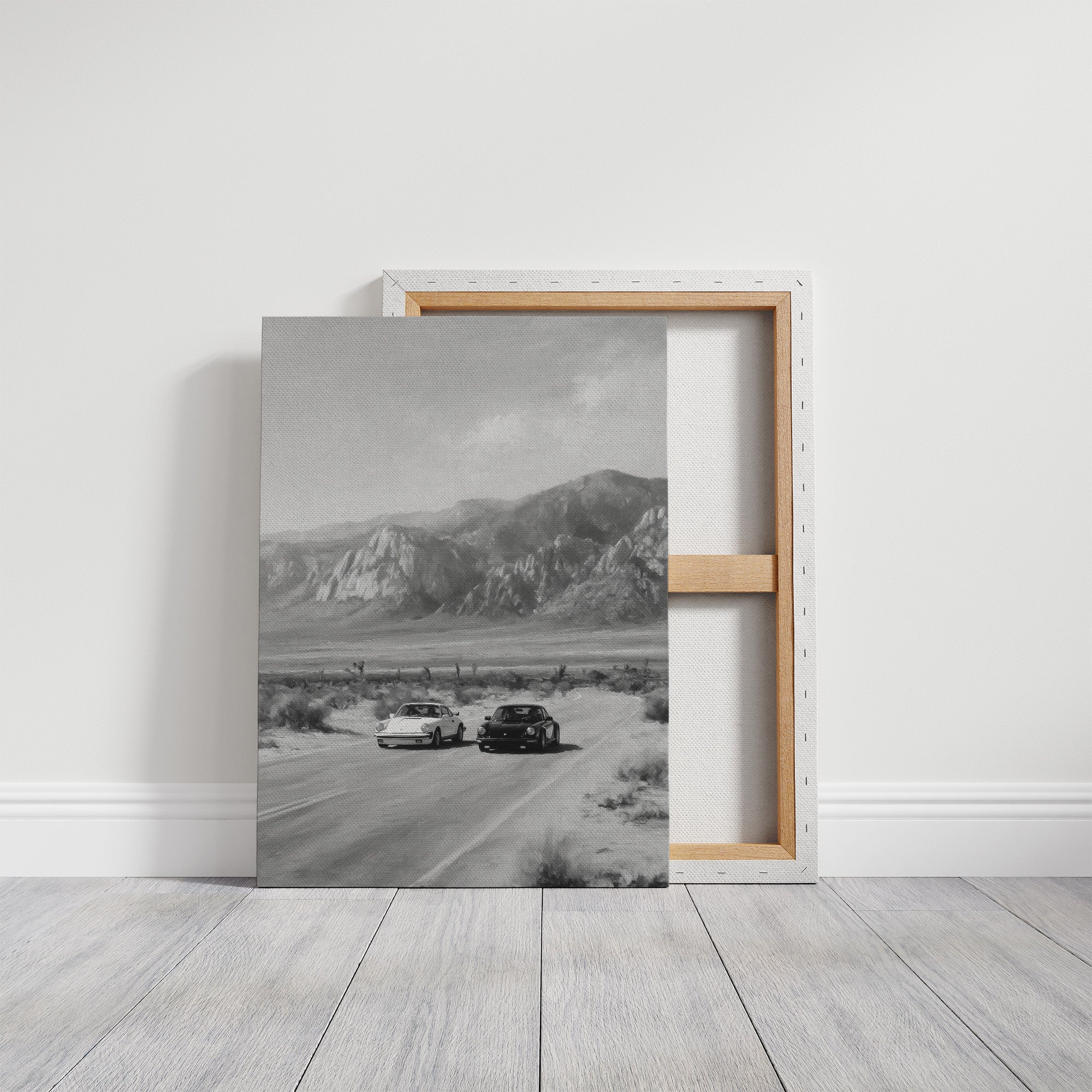 Desert Roads and Distant Peaks