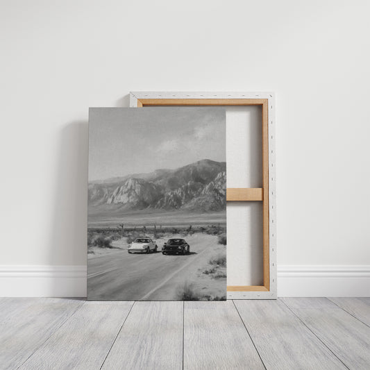 Desert Roads and Distant Peaks