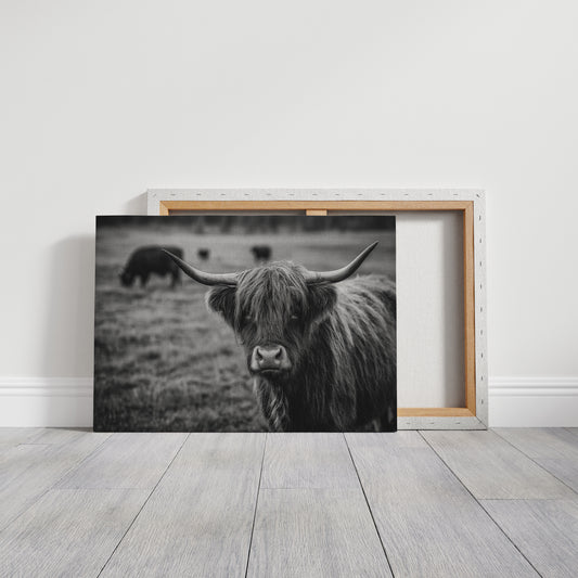 Gaze of the Highland Guardian