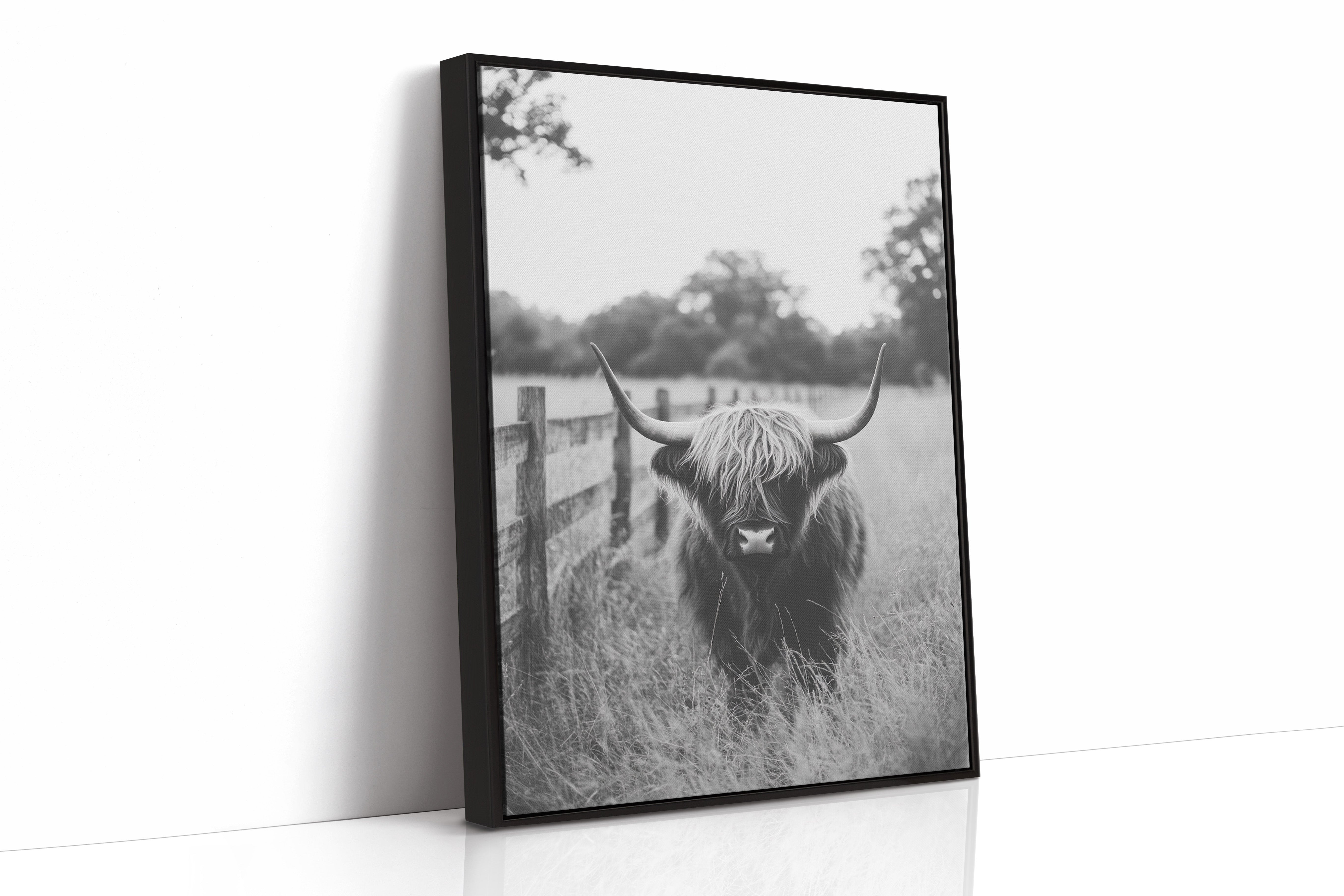 Highland Gaze in Black and White