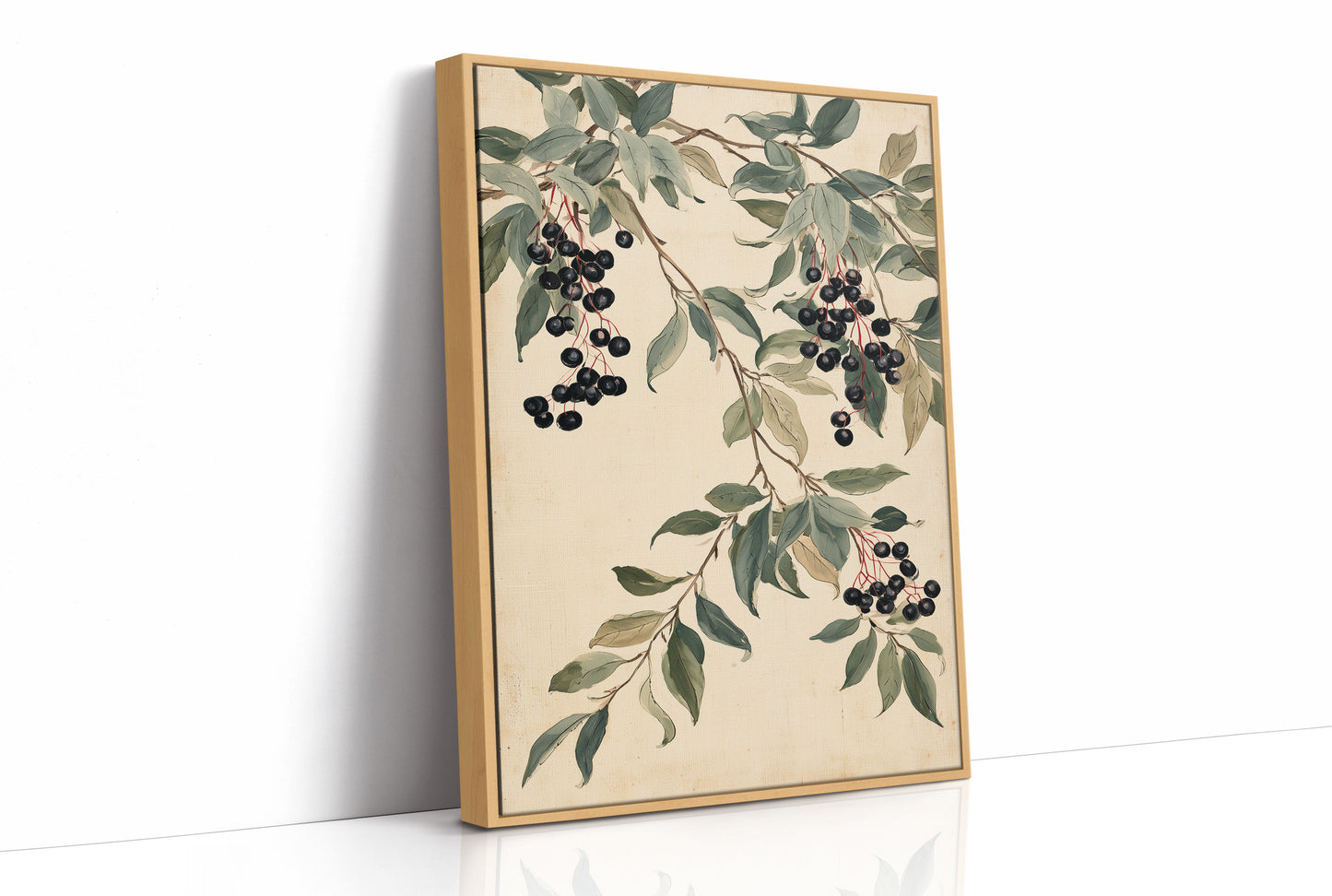 Botanical Berry: Elderberry Vine