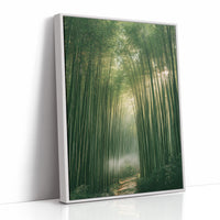 Misty Bamboo Forest Pathway
