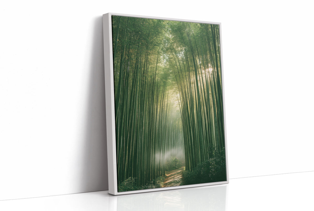 Misty Bamboo Forest Pathway