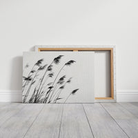 Swaying Secrets of the Marsh
