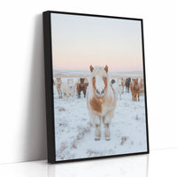 Fluffy Pony in Winter Herd