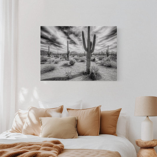 Saguaro Silence in Black and White