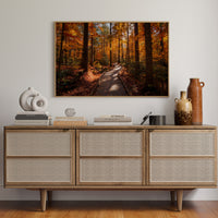 Autumn Path Weaves Golden Stories
