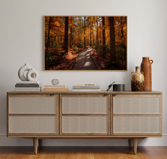 Autumn Path Weaves Golden Stories