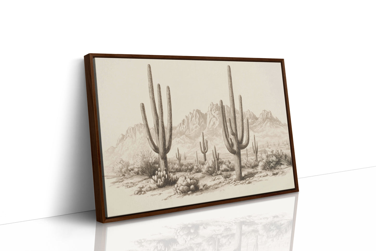 Saguaros Keep Ancient Mountain Secrets