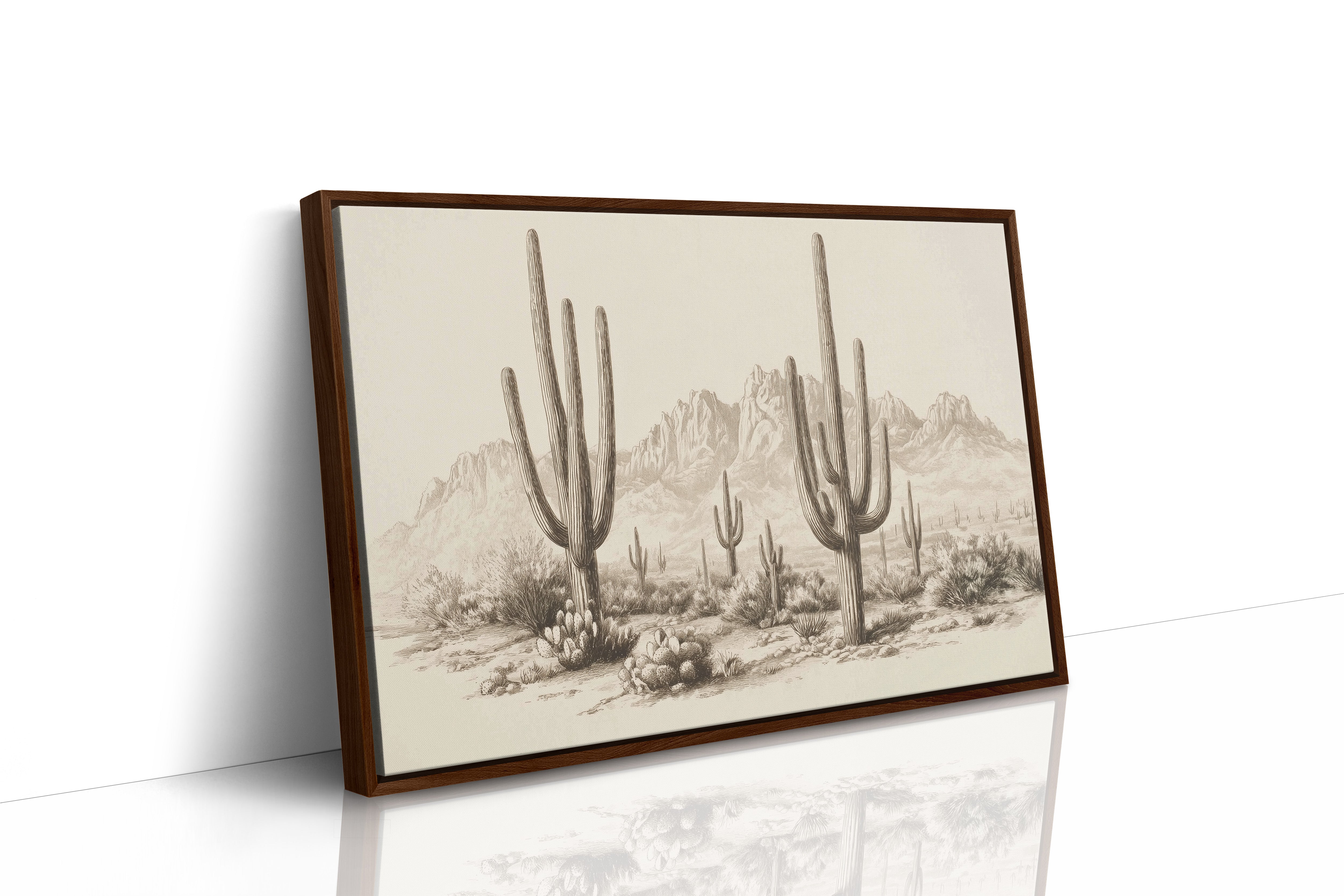 Saguaros Keep Ancient Mountain Secrets