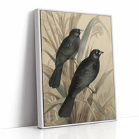 Midnight Perch Among Reeds