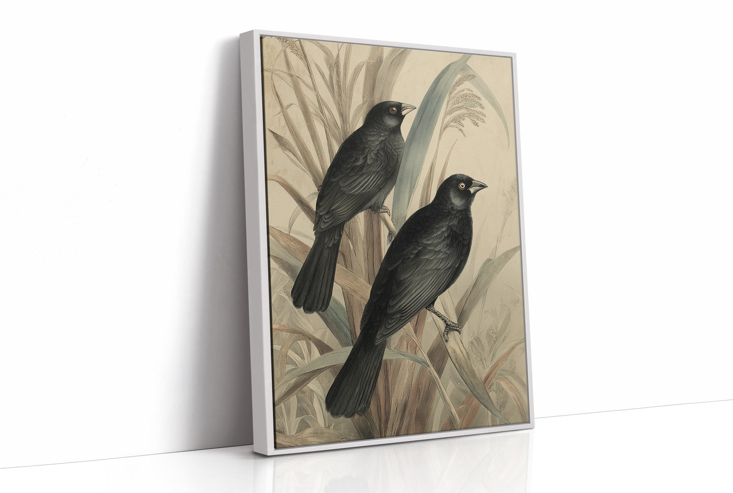 Midnight Perch Among Reeds