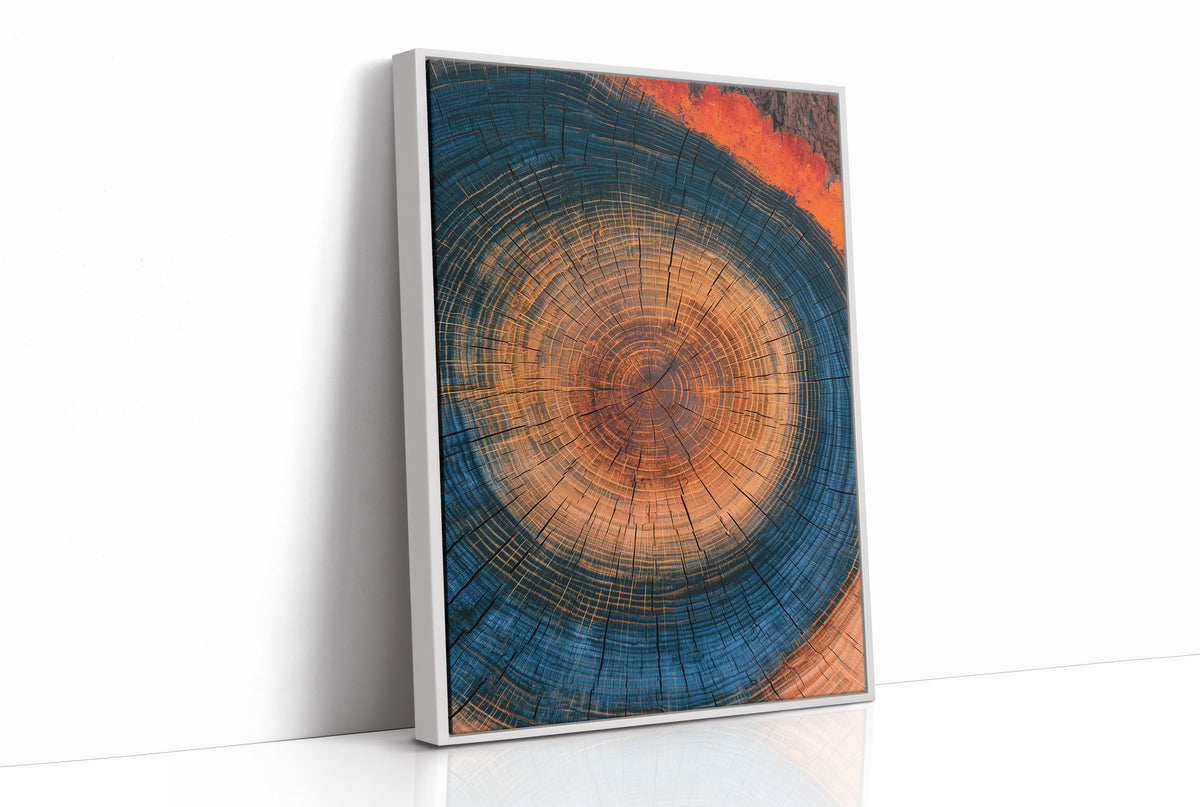 Cosmic Tree Ring Cross Section