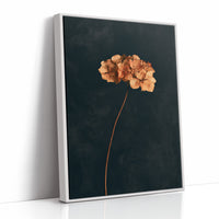Dried Hydrangea Dark Still Life