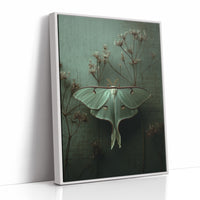 Lunar Moth Among Faded Stems