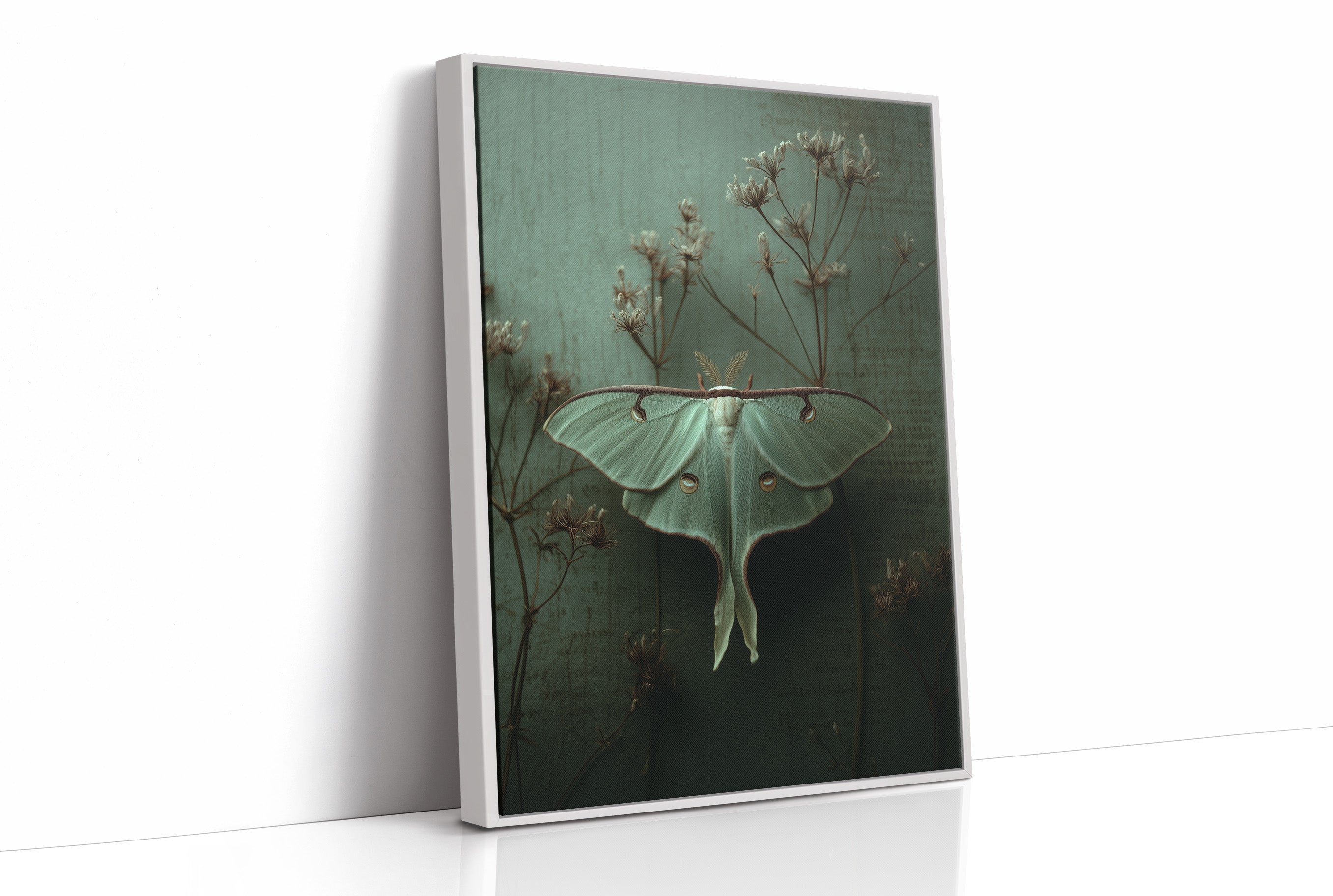 Lunar Moth Among Faded Stems