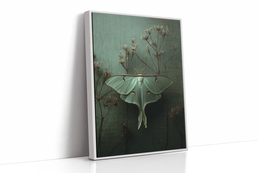 Lunar Moth Among Faded Stems