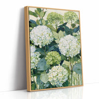 Garden Hydrangea Abundance