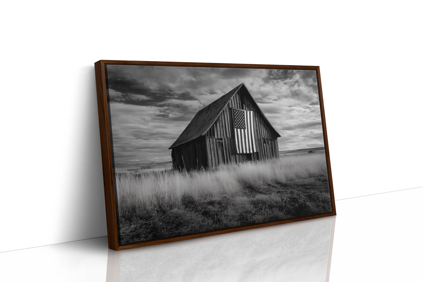 Prairie Stars Remember Their Home