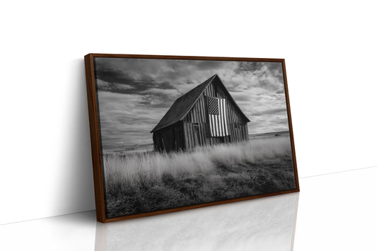 Prairie Stars Remember Their Home