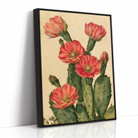 Coral Bloom Prickly Pear