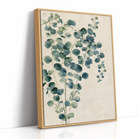 Silver Dollar Eucalyptus Sprig