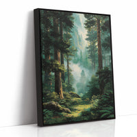 Where the Redwoods Breathe