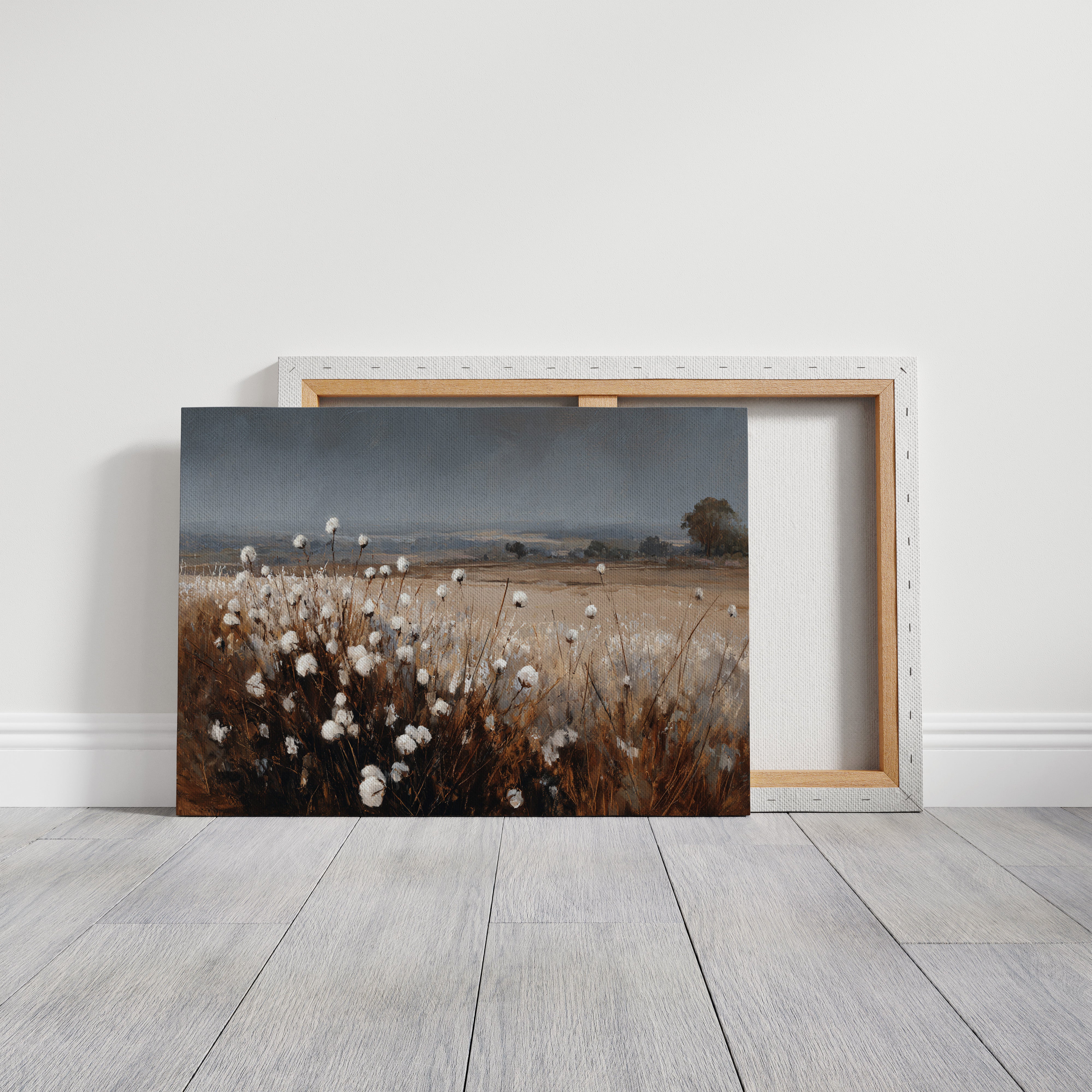 Fields of Cotton and Promise