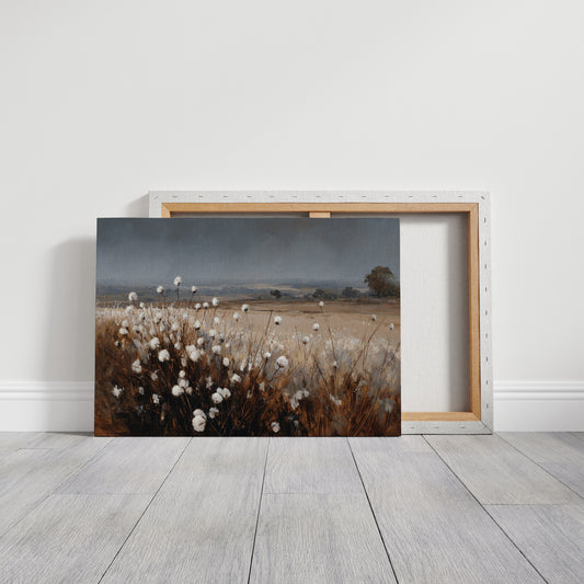 Fields of Cotton and Promise