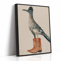 Roadrunner in Borrowed Boots