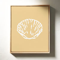 Seashells Remember Their Sandy Home